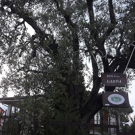 B&B Rosa Del Garda Lazise Esterno foto