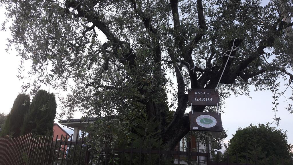 B&B Rosa Del Garda Lazise Esterno foto